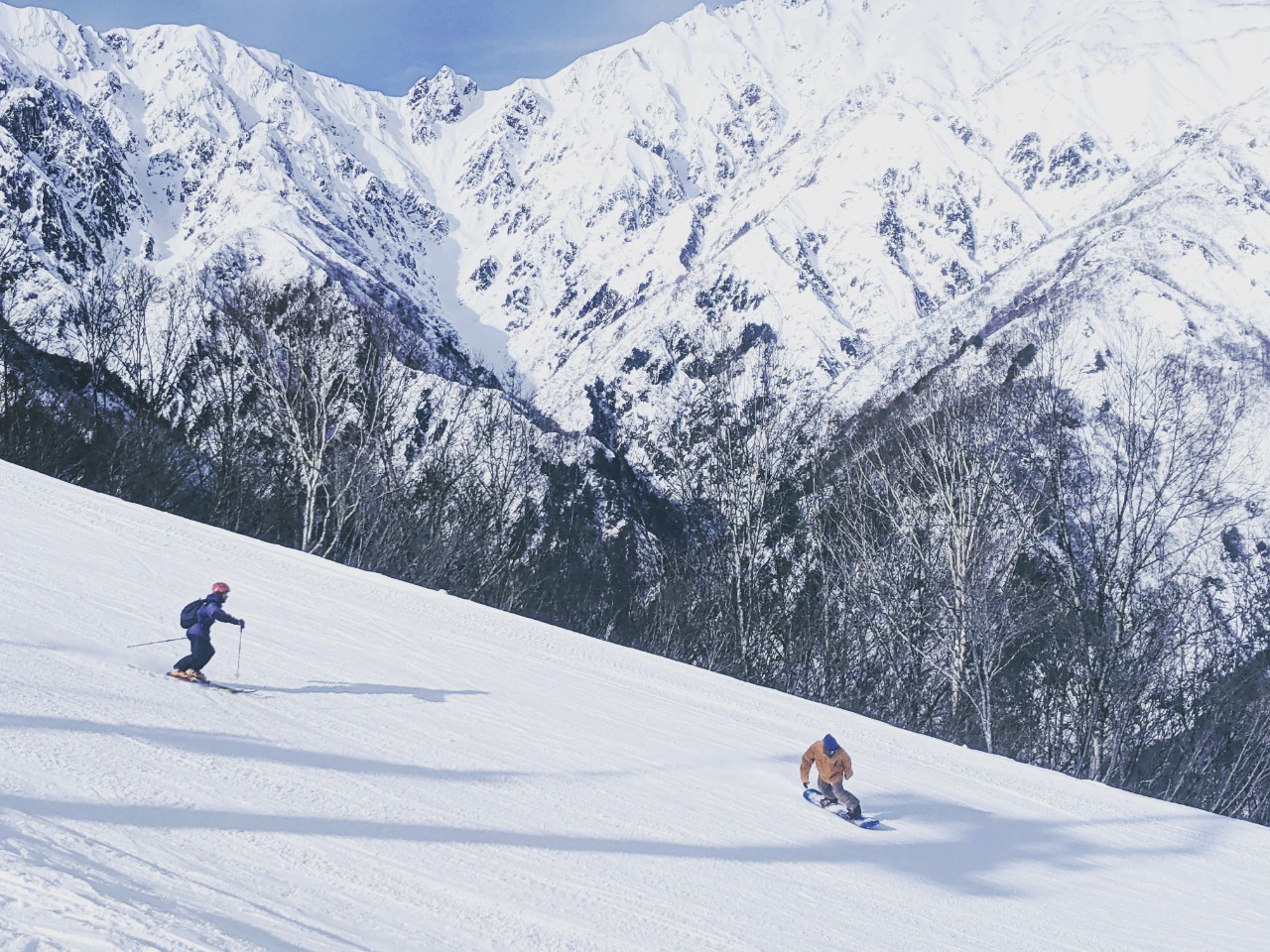 Skiiers