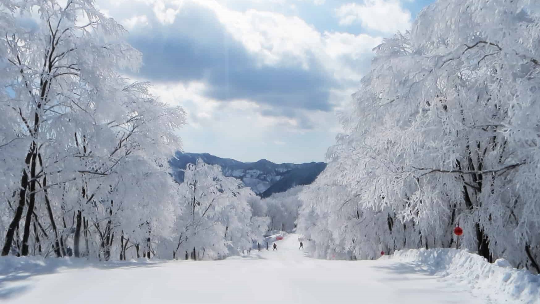 Snow Trail169